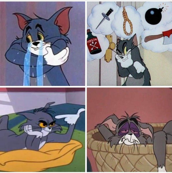 Смешные мемы том и Джерри