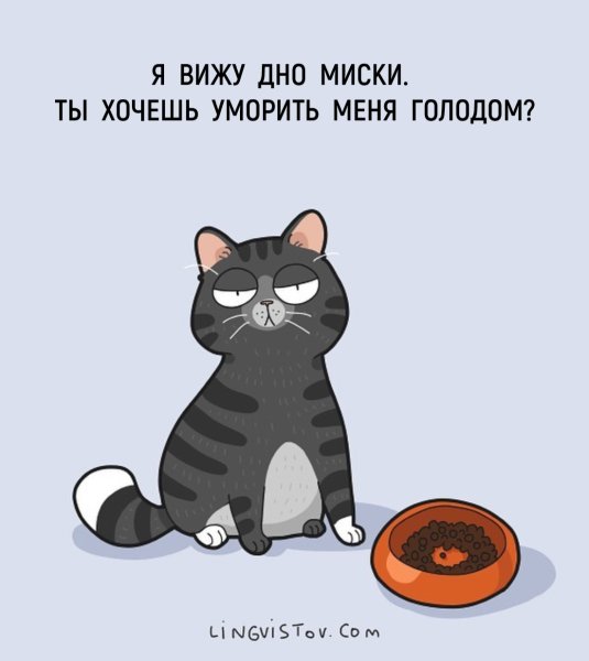 Я вижу дно кот