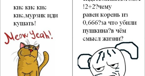 Смешные мемы про котов