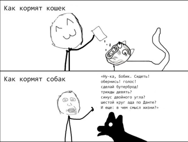 Мемы про котов и собак