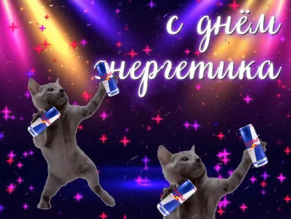 Котики с энергетиками