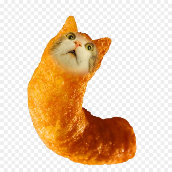 Кот с чипсами