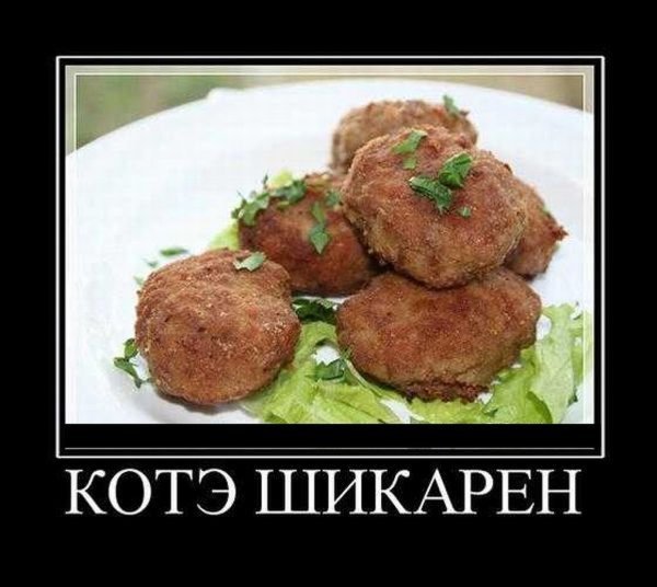 Котлеты прикол