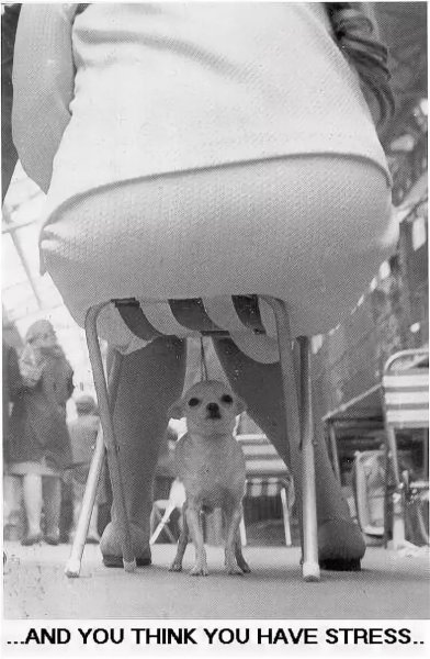 Демотиваторы гиф