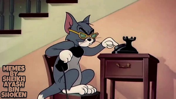 Кот из Тома и Джерри