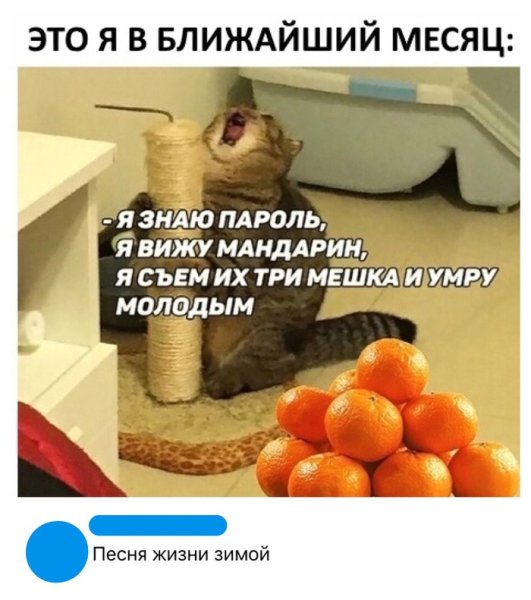 Кот с когтеточкой Мем