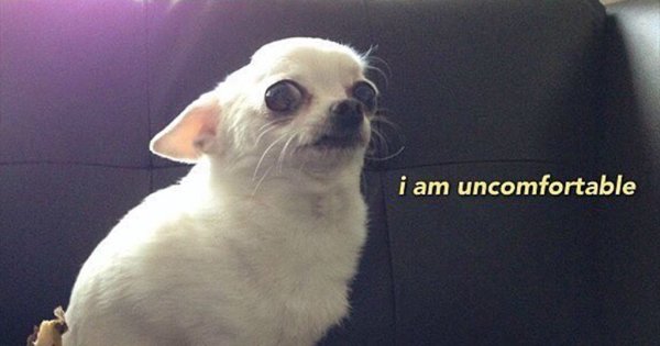 Мне некомфортно Мем