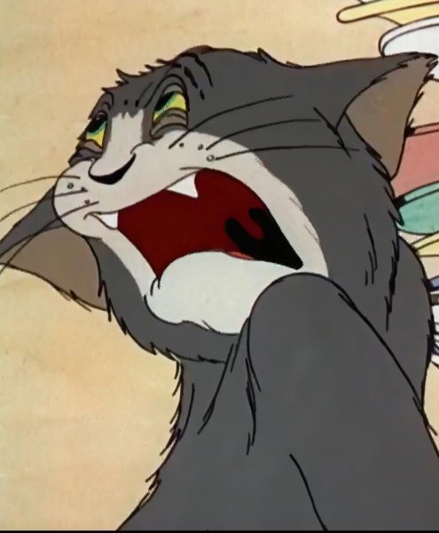 Кот том мемы