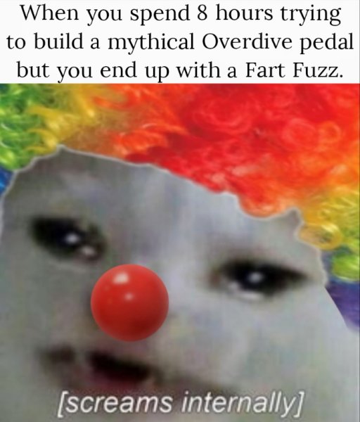 Котик клоун