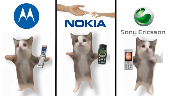 Счастливый кот Мем