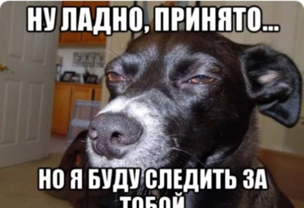 Ну ладно Мем