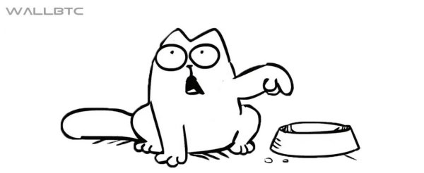 Кот Саймон хочет есть