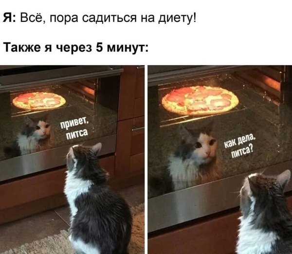 Прикольные мемы про еду