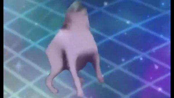 Собачка танцует