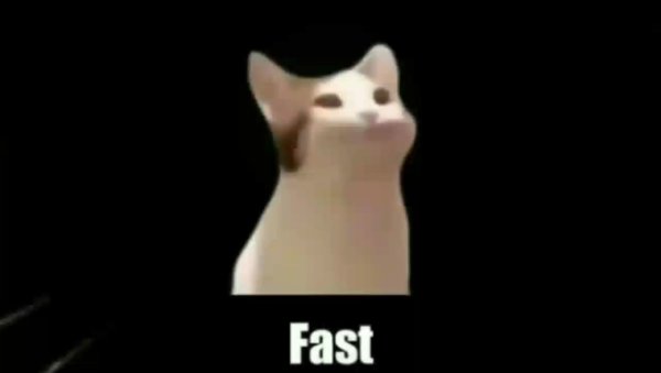 Поп кот Мем