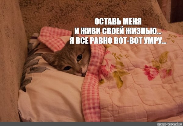 Милые пикчи сладких снов