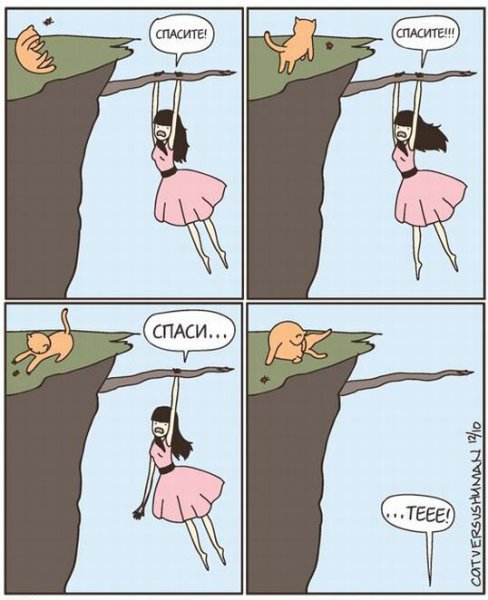 Мемы про собак и кошек