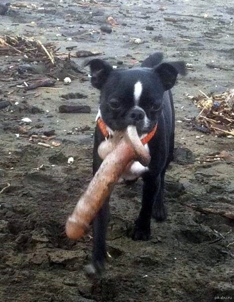 Агрессивные пикчи