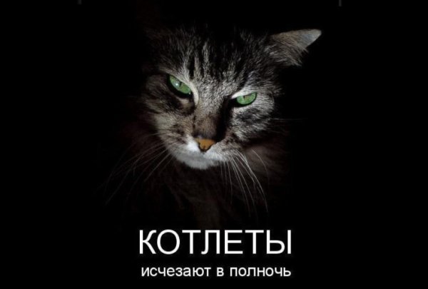 Котлеты исчезают в полночь фильм