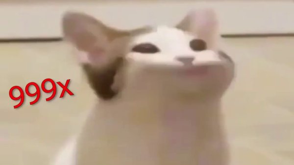 Мемный кот с открытым ртом