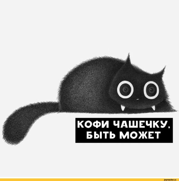 Хочу кофий кот Мем