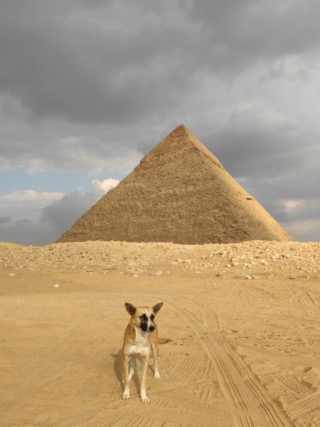 Пирамида собака Египет