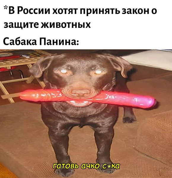 Ржака картинки приколы