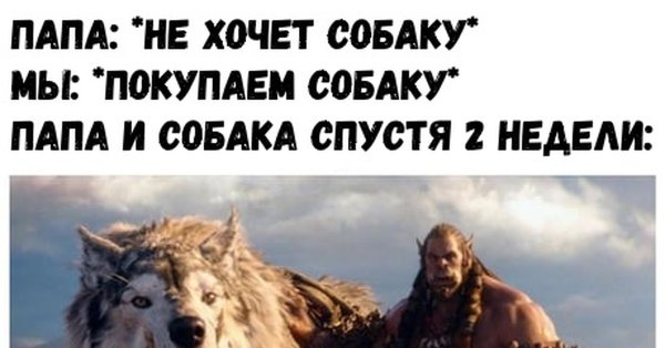 Отец не хочет заводить собаку Мем