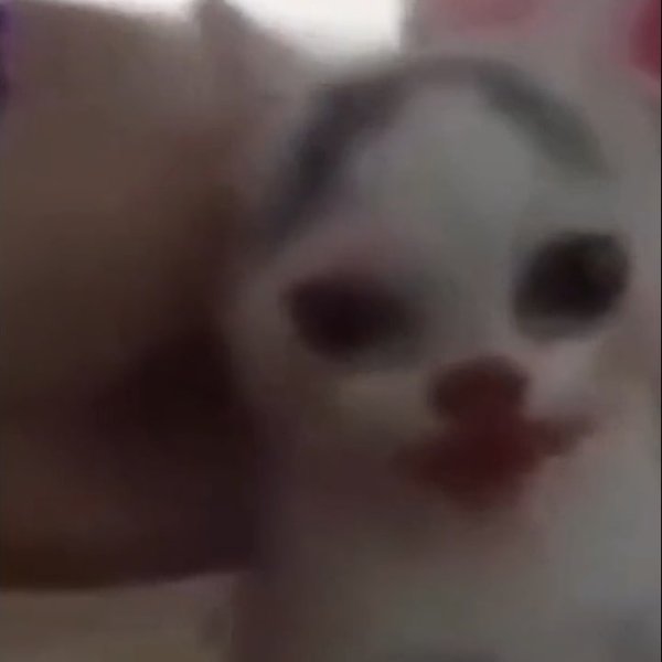 Джокер Виктор Дудка котенок