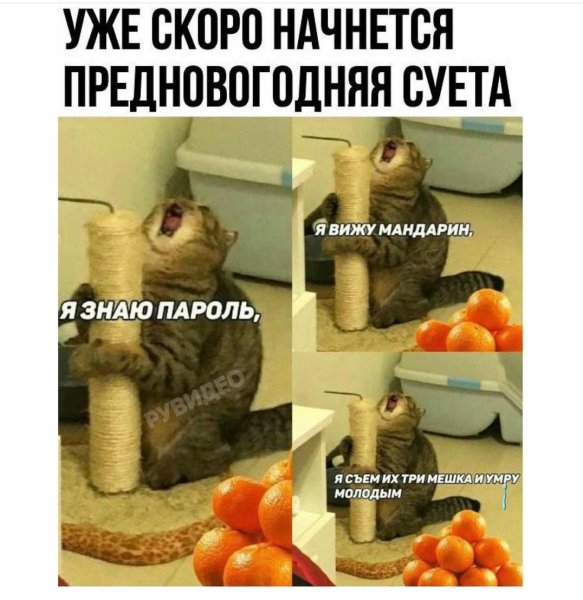 Я знаю пароль я вижу мандарин я съем их три