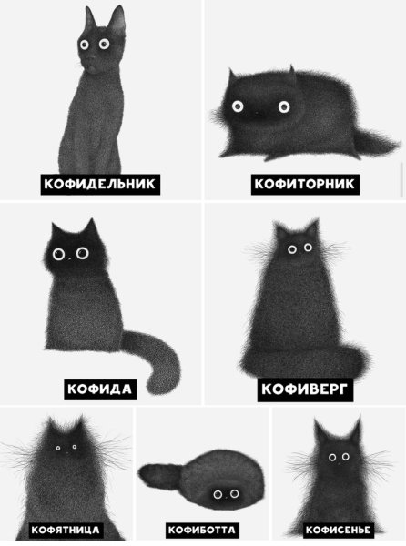 Коты мемы