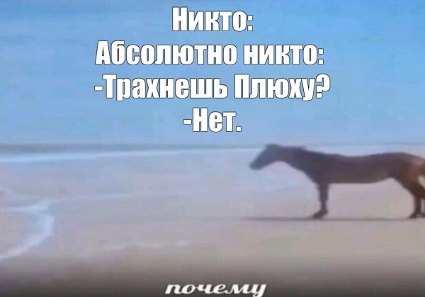 Почему Мем конь