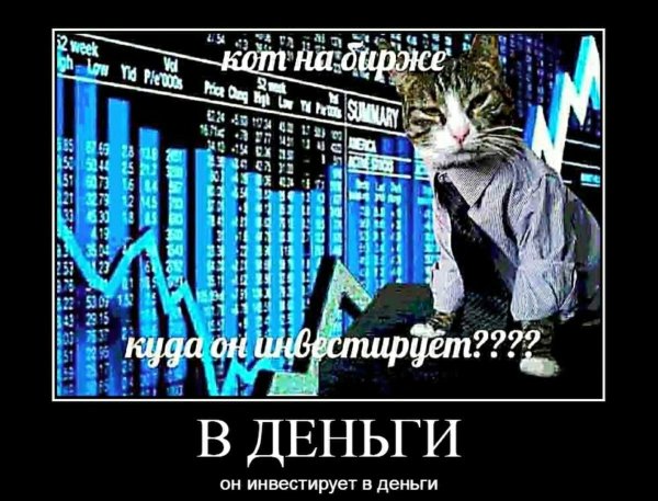 Кот на бирже
