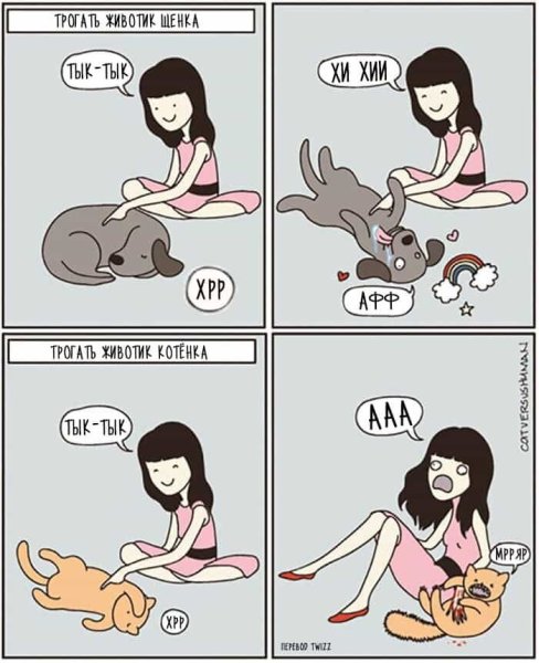 Смешные комиксы с котами