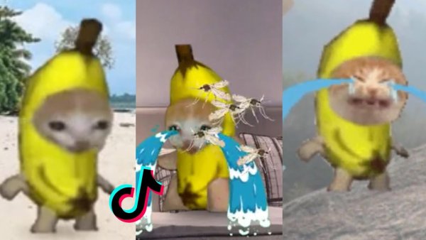 Кот банан Happy Happy Happy