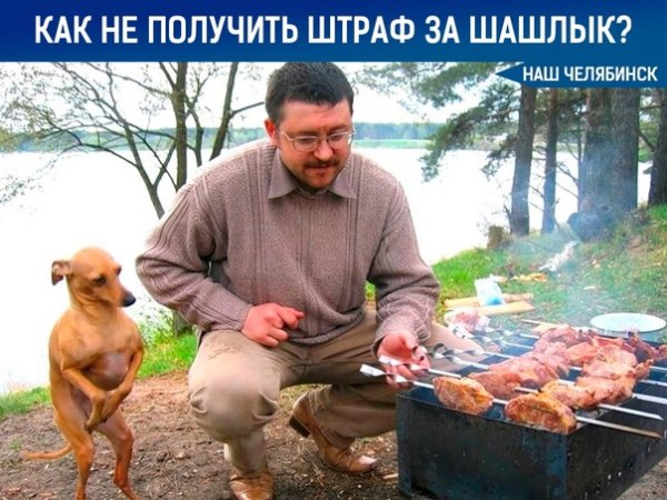 Семья хочет завести собаку Мем