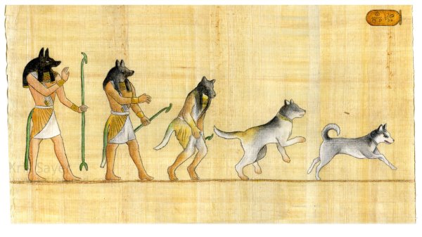 Собаки древнего Египта на фресках