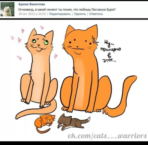 Коты Воители Огнезвёзд приколы