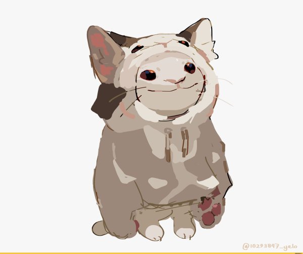 Поп Кэт арт