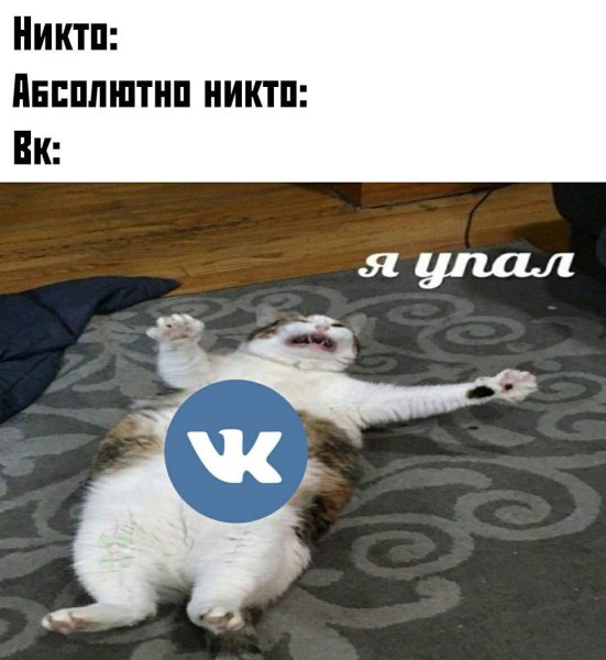 Я упал Мем с котом