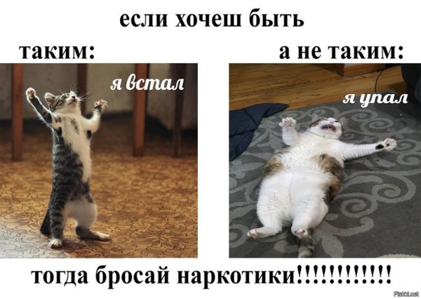 Я упал Мем