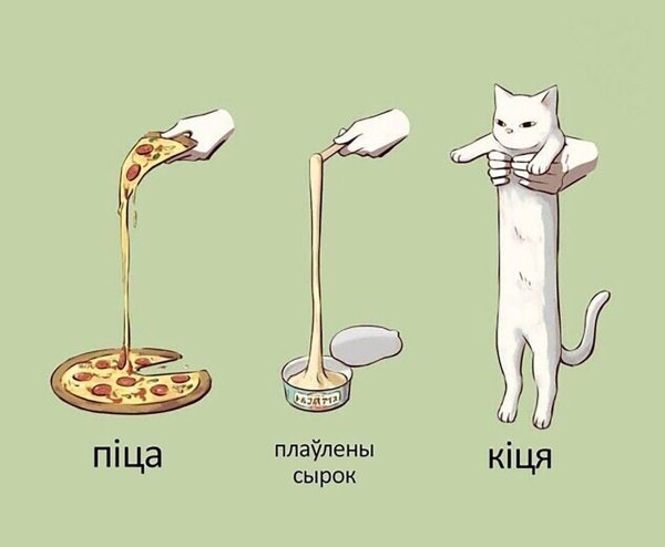 Кот с длинной шеей