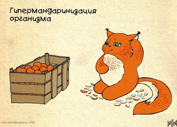 Обожрался мандаринов