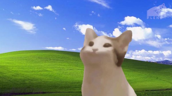 Pop Cat Мем