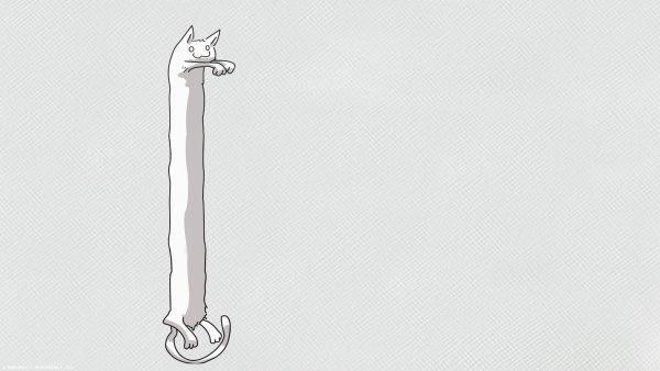 Длинный кот Мем