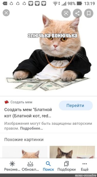 Мемы с котами про деньги