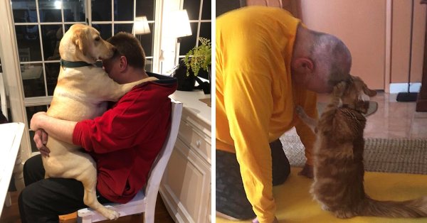 Животные отцы