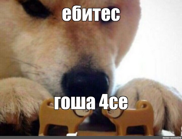 Собака из мема ебитес