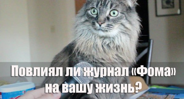 Какие деньги прикол