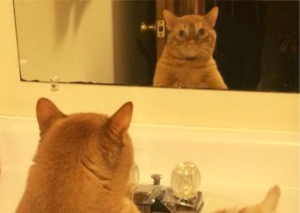 Зеркало "котик"